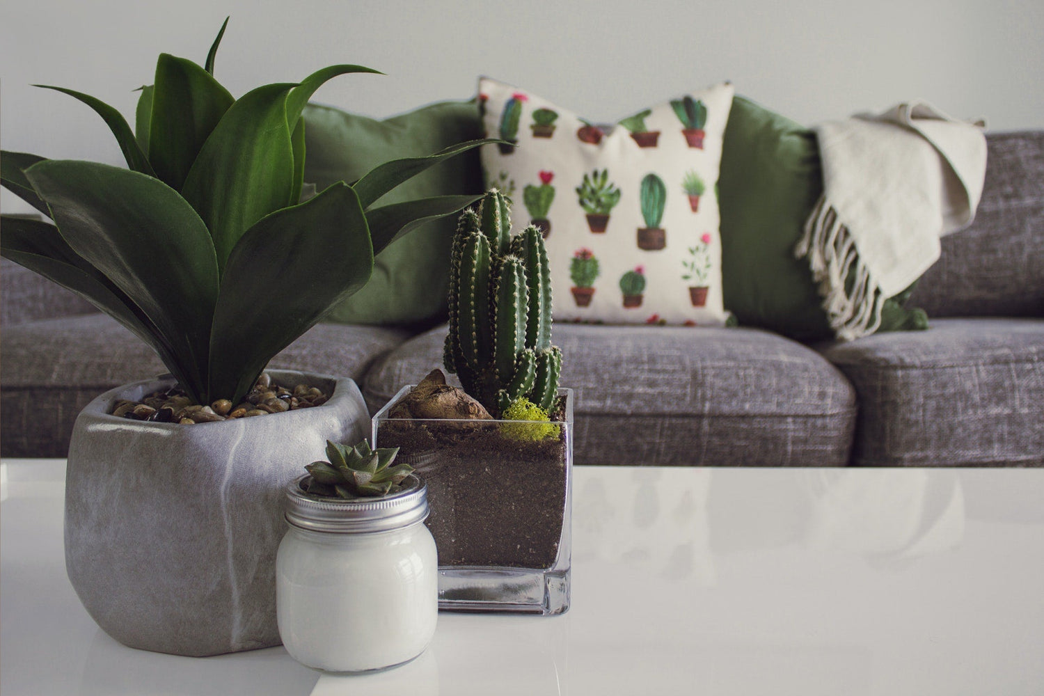Indoor Furniture